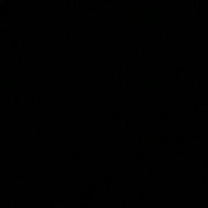 Meet your Posher, Logan